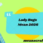 Lady Bugs Mean 2026