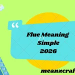 Flue Meaning Simple 2026