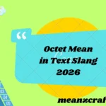 Octet Mean in Text Slang 2026