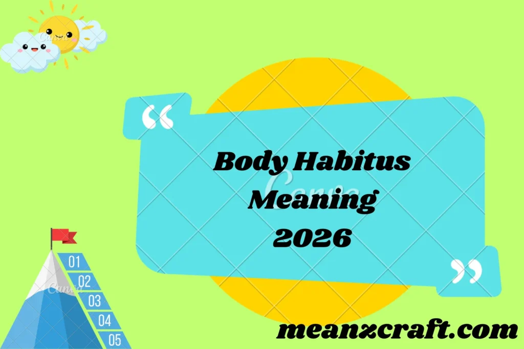 Body Habitus Meaning 2026