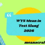 WYS Mean in Text Slang 2026