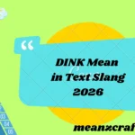DINK Mean in Text Slang 2026