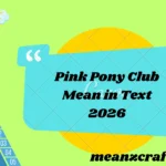 Pink Pony Club Mean in Text 2026