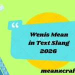 Wenis Mean in Text Slang 2026