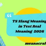 TS Slang Meaning in Text Real Meaning 2026