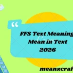 FFS Text Meaning Mean in Text 2026
