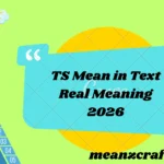 TS Mean in Text Real Meaning 2026