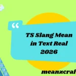 TS Slang Mean in Text Real 2026