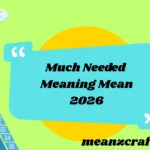 Much Needed Meaning Mean 2026