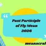 Past Participle of Fly Mean 2026