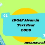 IDGAF Mean in Text Real 2026