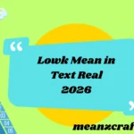 Lowk Mean in Text Real 2026