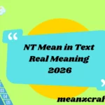 NT Mean in Text Real Meaning 2026