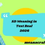 SD Meaning in Text Real 2026