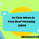 Is Uwu Mean in Text Real Meaning 2026