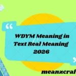 WDYM Meaning in Text Real Meaning 2026